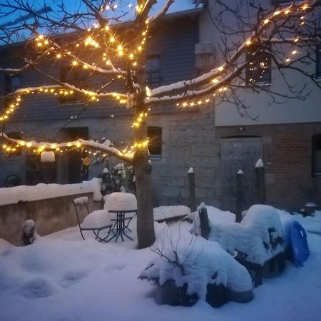 Ferienhof"Waldesel Rippersroda" 外观 照片
