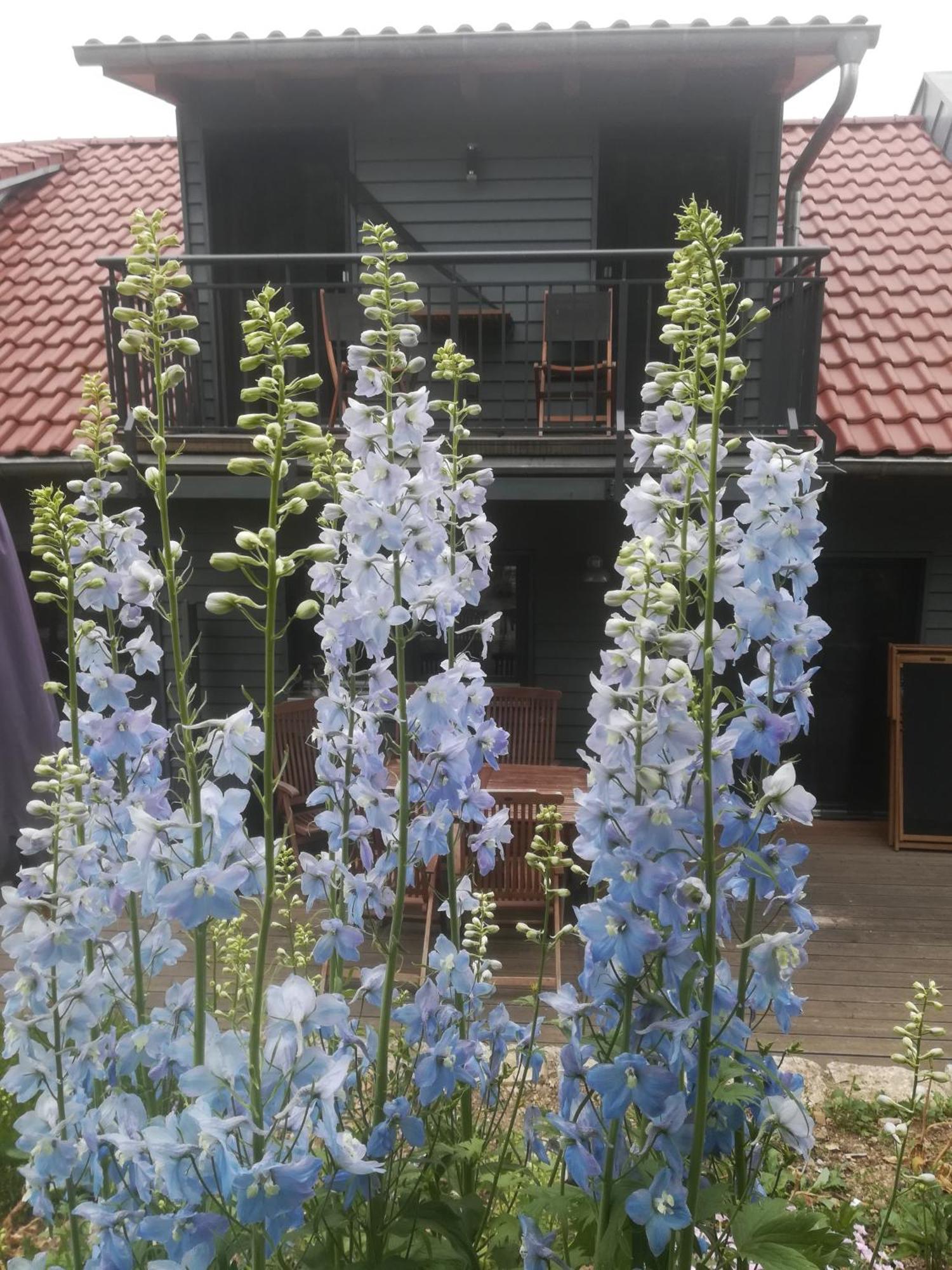 Ferienhof"Waldesel Rippersroda" 外观 照片