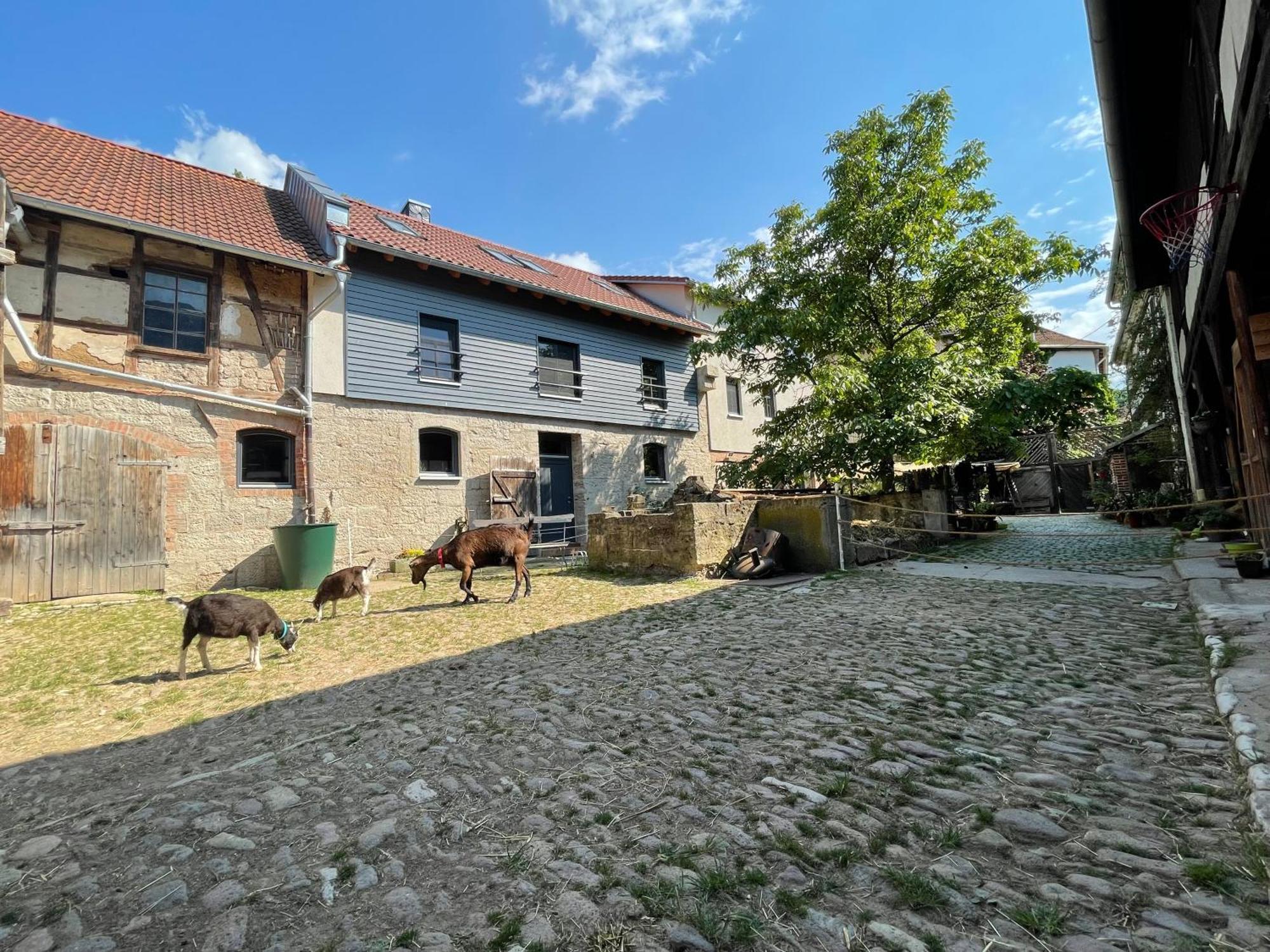 Ferienhof"Waldesel Rippersroda" 外观 照片