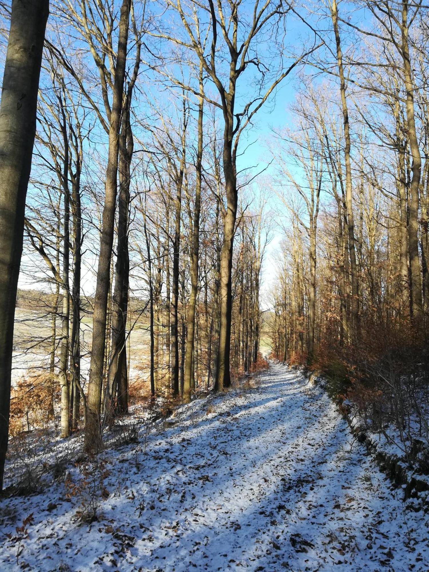 Ferienhof"Waldesel Rippersroda" 外观 照片