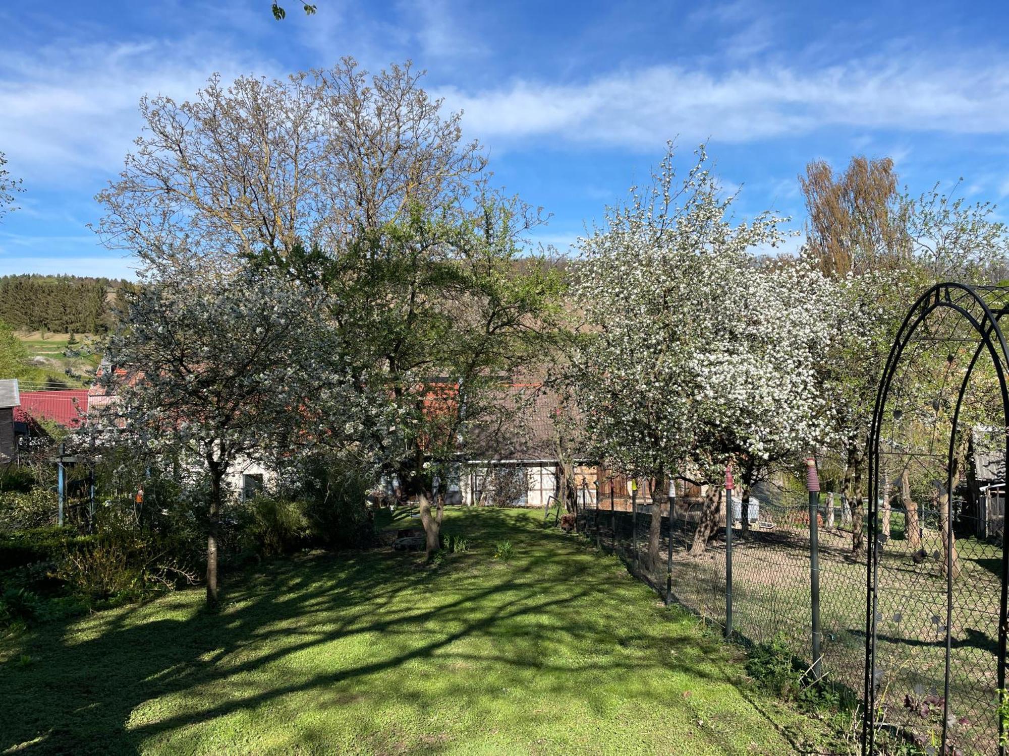 Ferienhof"Waldesel Rippersroda" 外观 照片