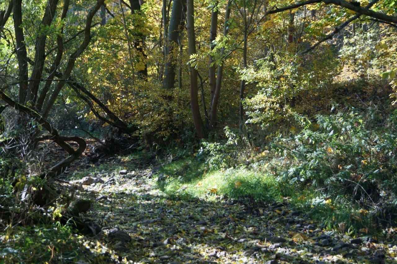Ferienhof"Waldesel Rippersroda" 外观 照片